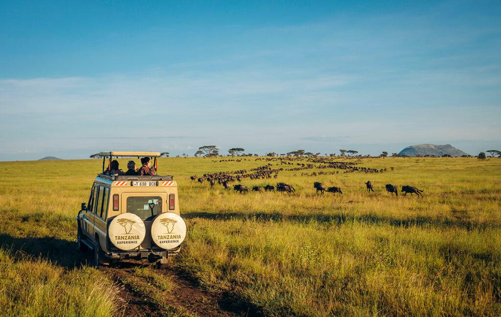 tanzania safari book