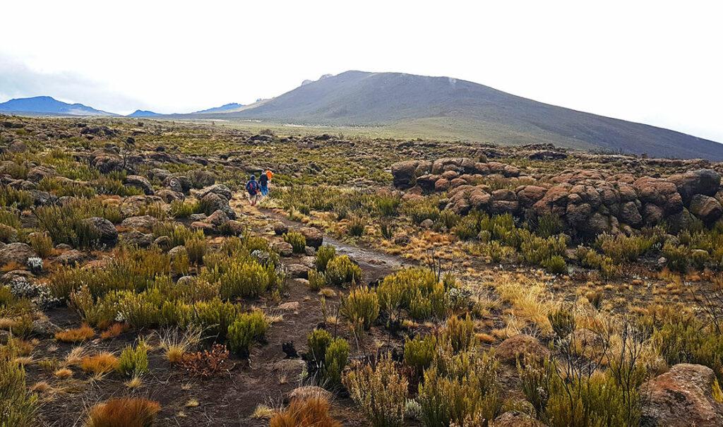 kilimanjaro trekking tour