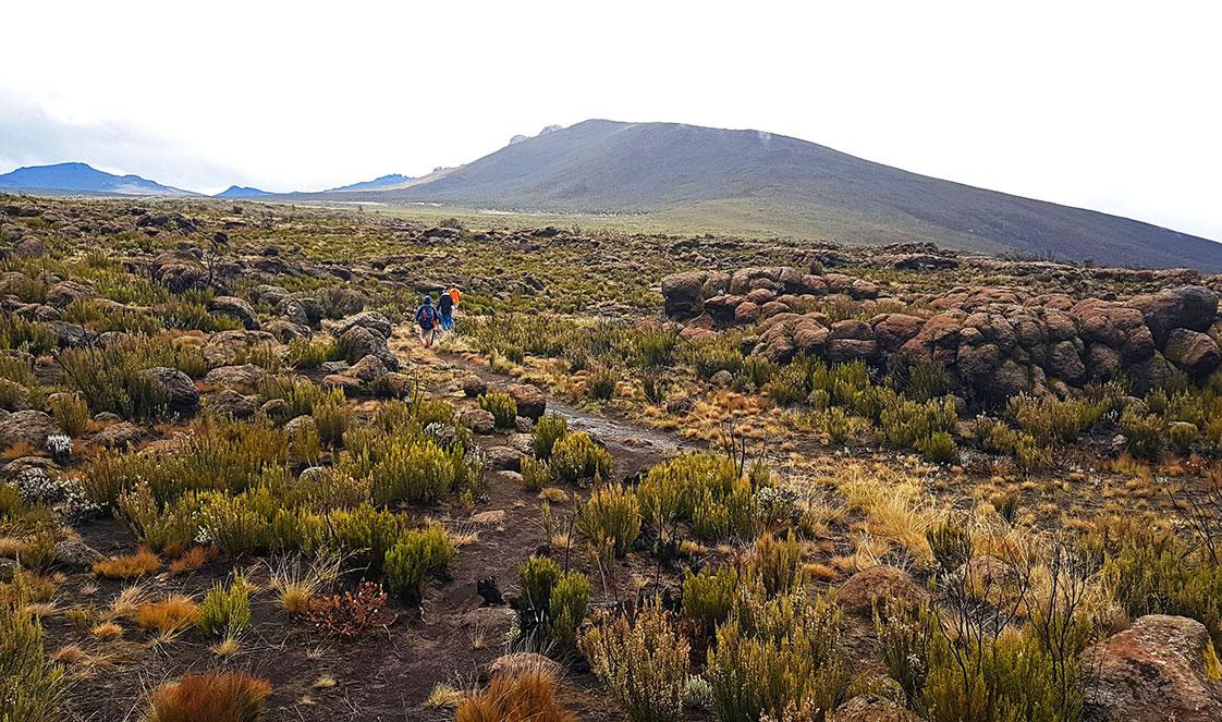 Kilimanjaro Trekking Tours: Climb the Roof of Africa
