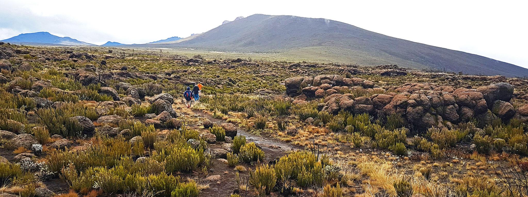 Kilimanjaro National Park Shira Plateau day trip