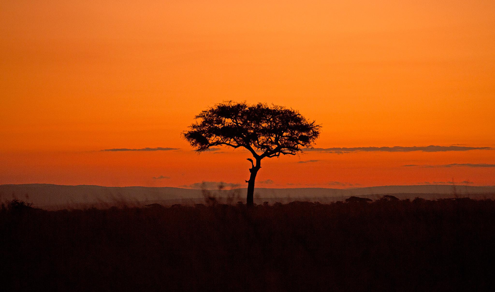 When is the best time to visit the Serengeti