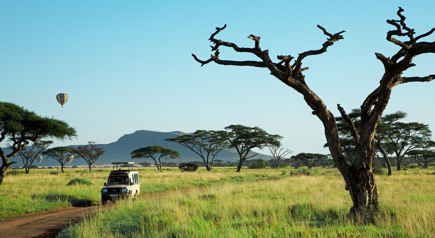 Game drive vehicle savannah Game drive vehicle savannah