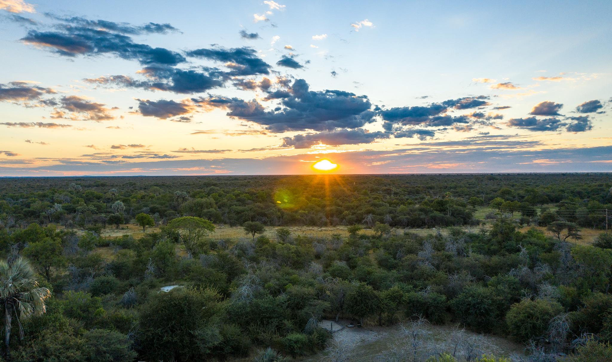 Tanzania or Botswana safari