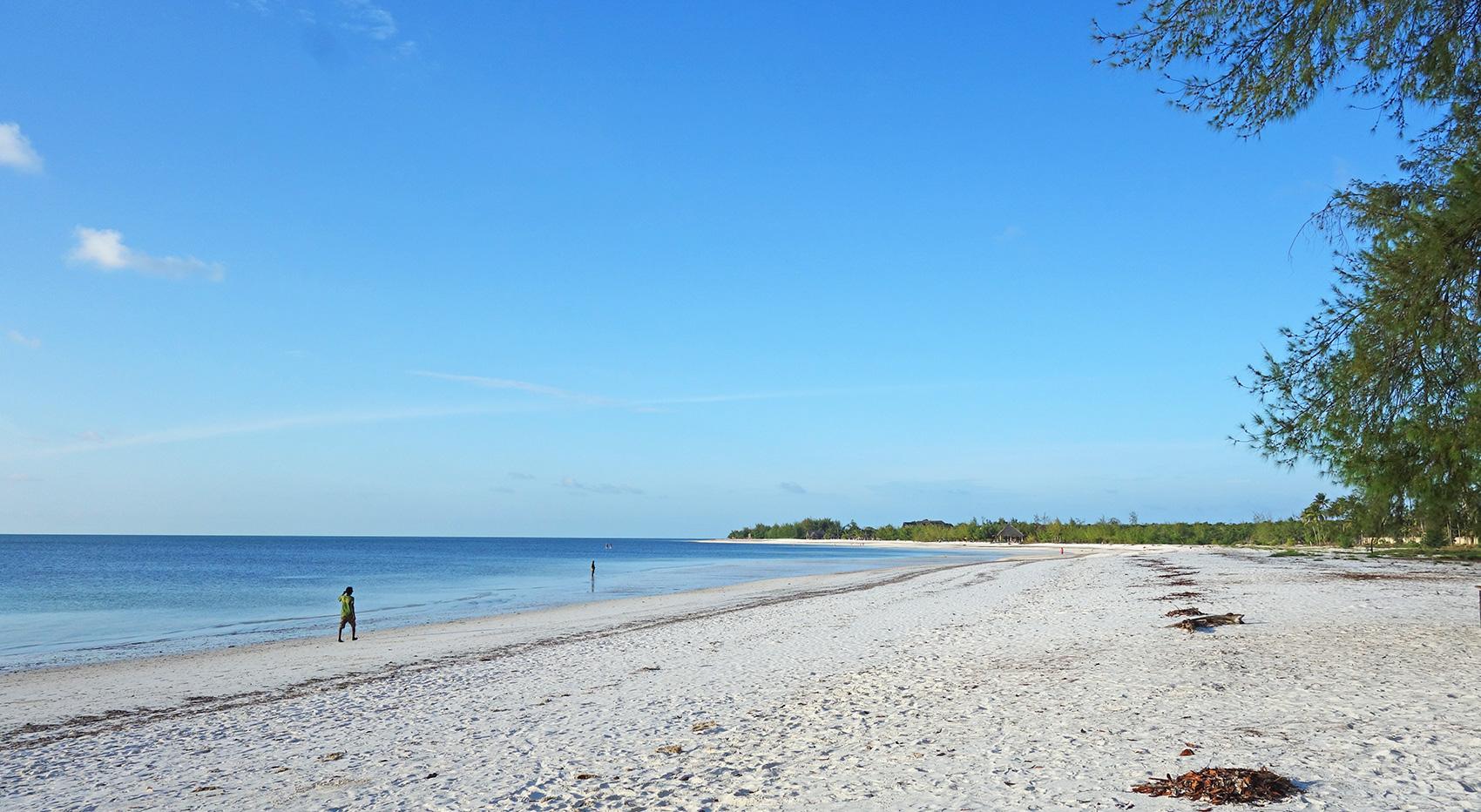 Zanzibar tropical beach