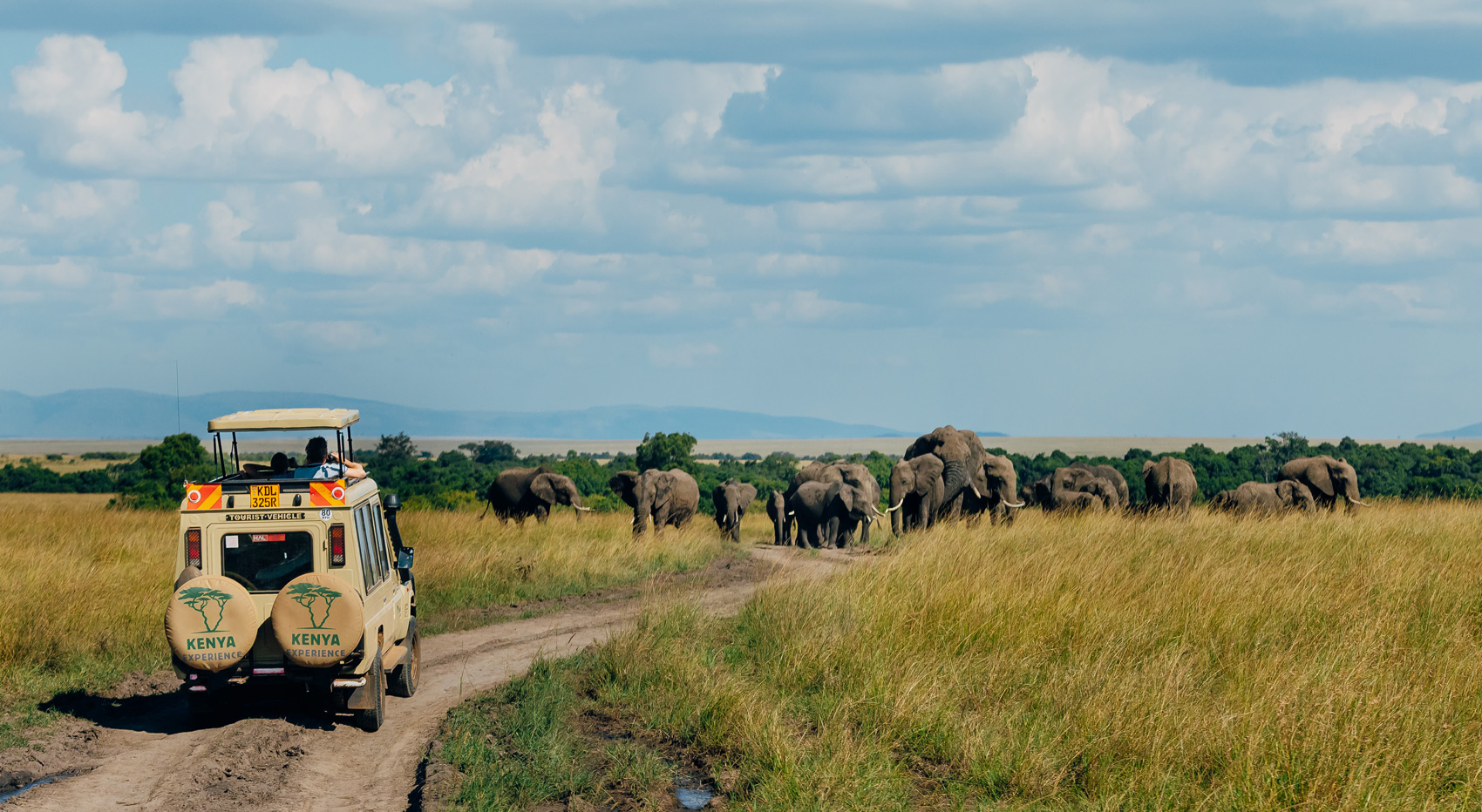 A Kenya-Experience vehicle in the Masai Mara with elephants in the backgroud. 