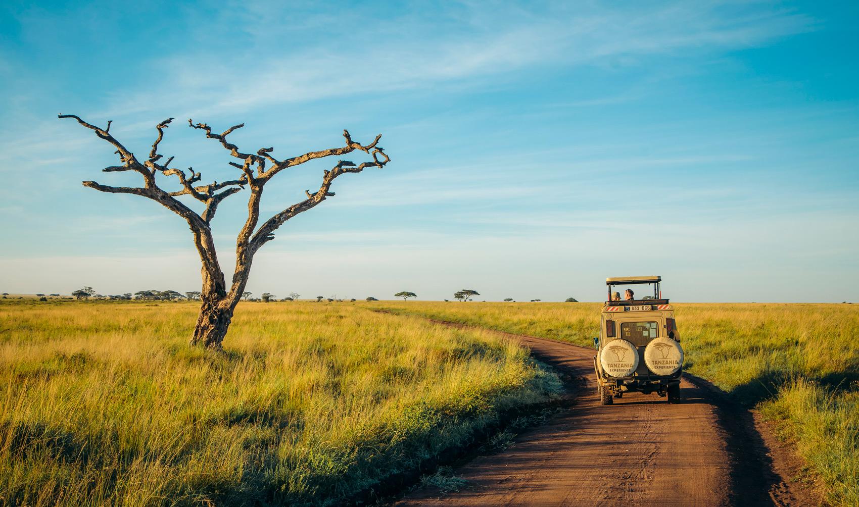 Vehicle driving through the Serengeti.