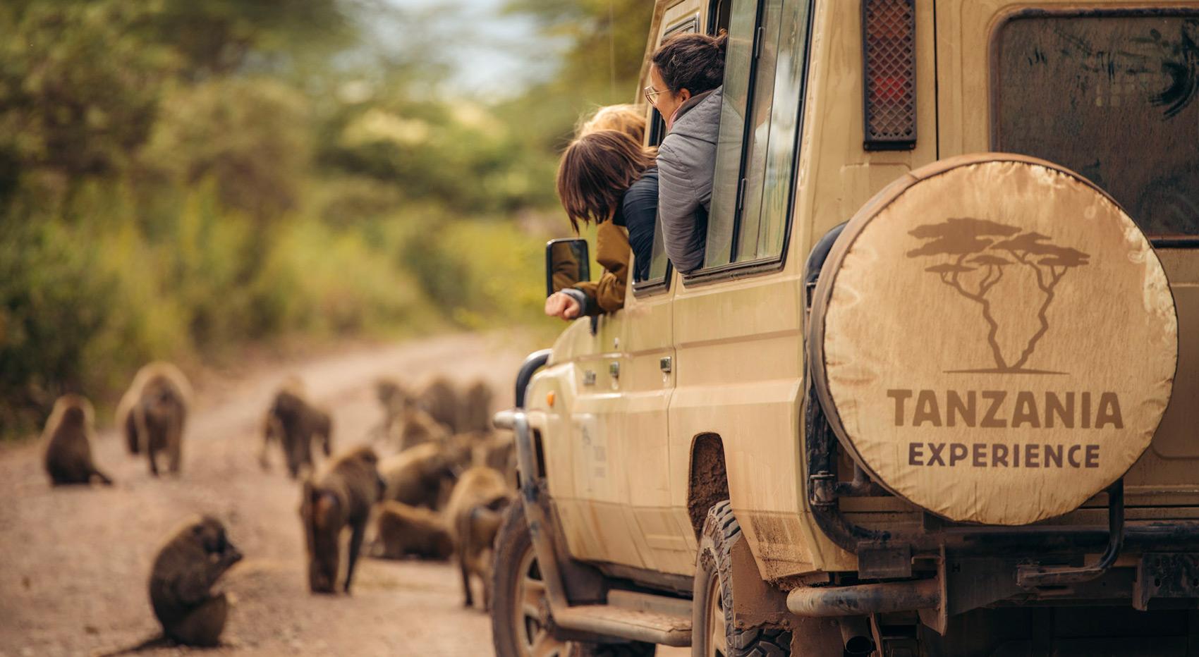 Tanzania-Experience Fahrzeug im Ngorongoro Krater mit Gästen, die Paviane beobachten. Tanzania-Experience Fahrzeug im Ngorongoro Krater mit Gästen, die Paviane beobachten.