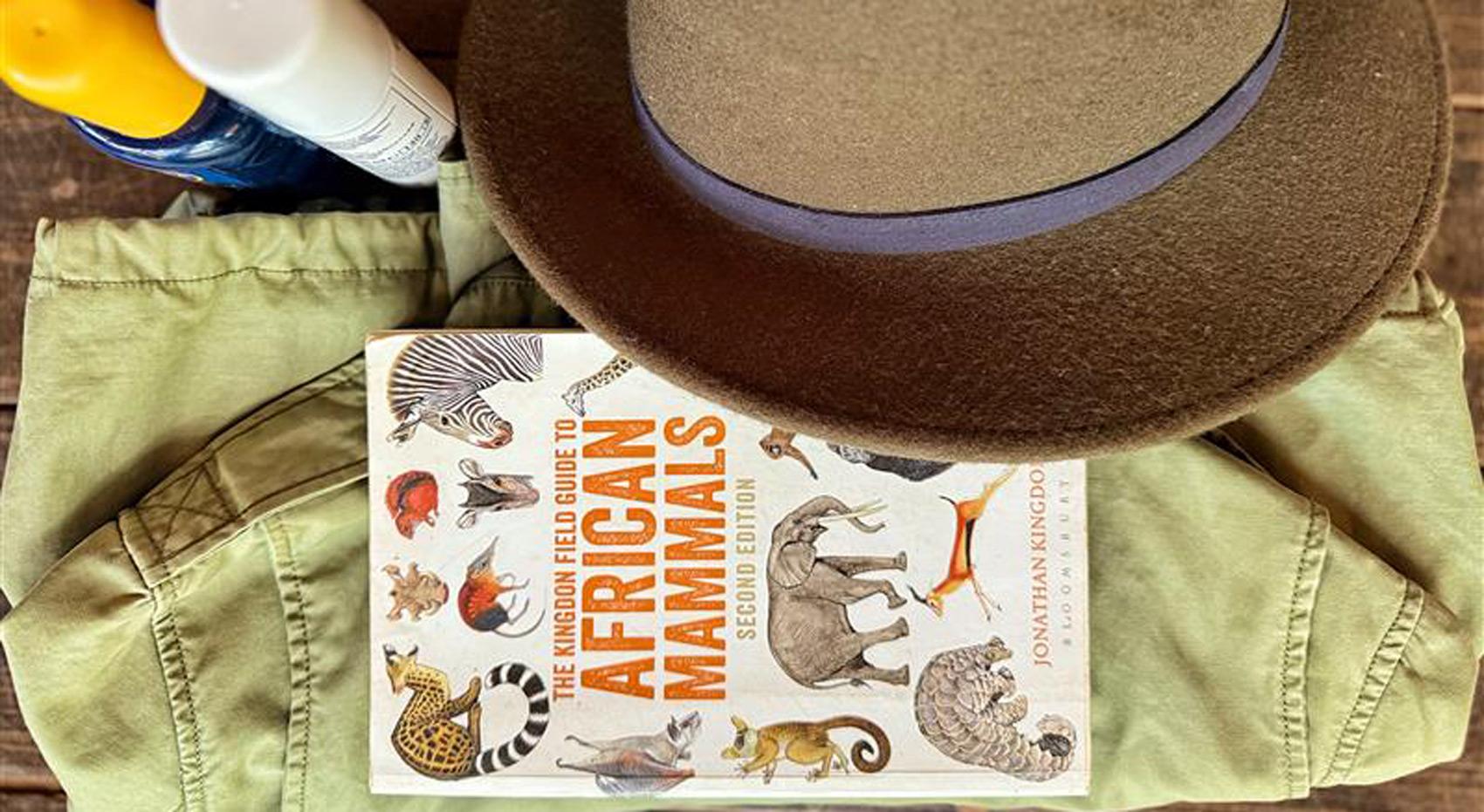Sonnencreme, Mückenschutzmittel, Hut, Buch und Jacke.