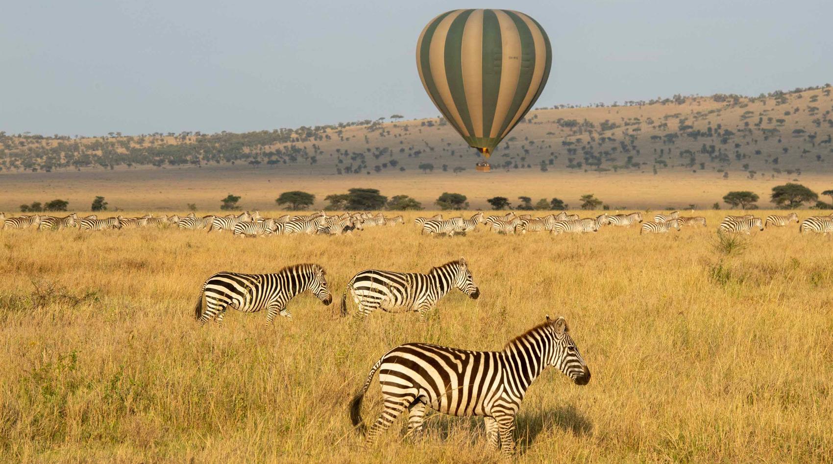 Ein Heißluftballon fliegt über die Ebenen der Serengeti.
