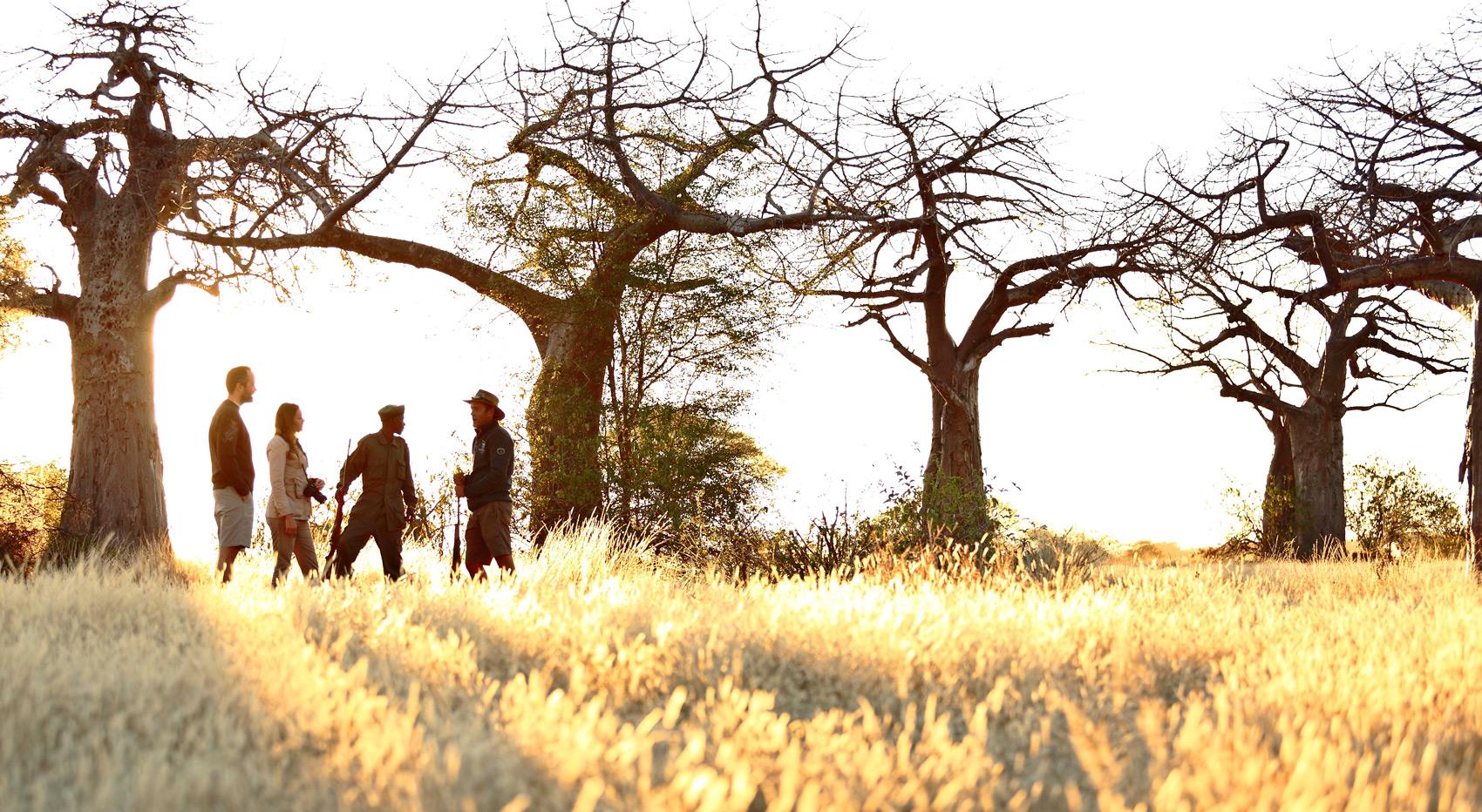 Gäste beim Wandern mit Guide und Ranger in Kichaka Zumbua.