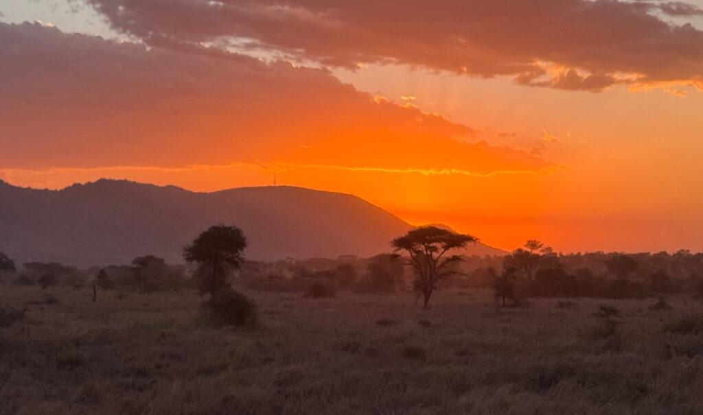 As the sun sets behind the hill, it lights up the clouds above, casting an orange hue over the savannah landscape.